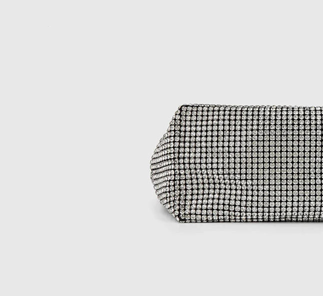 Shimmer Luxe Evening Bag