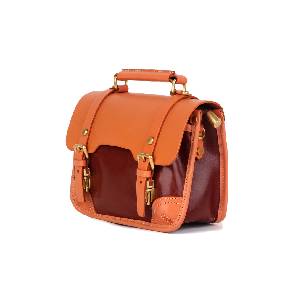 Shiefer Mini Satchel Bag